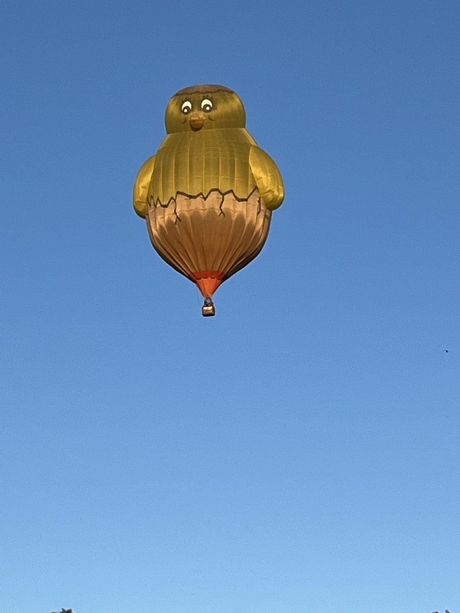 Jonb147's tweet image. Who says Chickens can’t fly…#cheshireballoonfiesta
