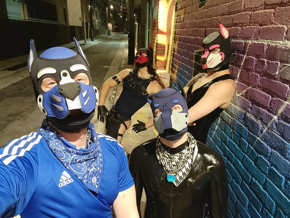 Pup_QuartzMn's tweet photo. My first Dore Alley was so emotional lol. I got to experience a very public expression of this community and of my own fetishes and do so surrounded by amazing people. These dogs are top tier and I couldn't ask for better friends 😭🥰
@PupCryo  @pupdagr  @EikoPup https://t.co/Y46NWAD5xA