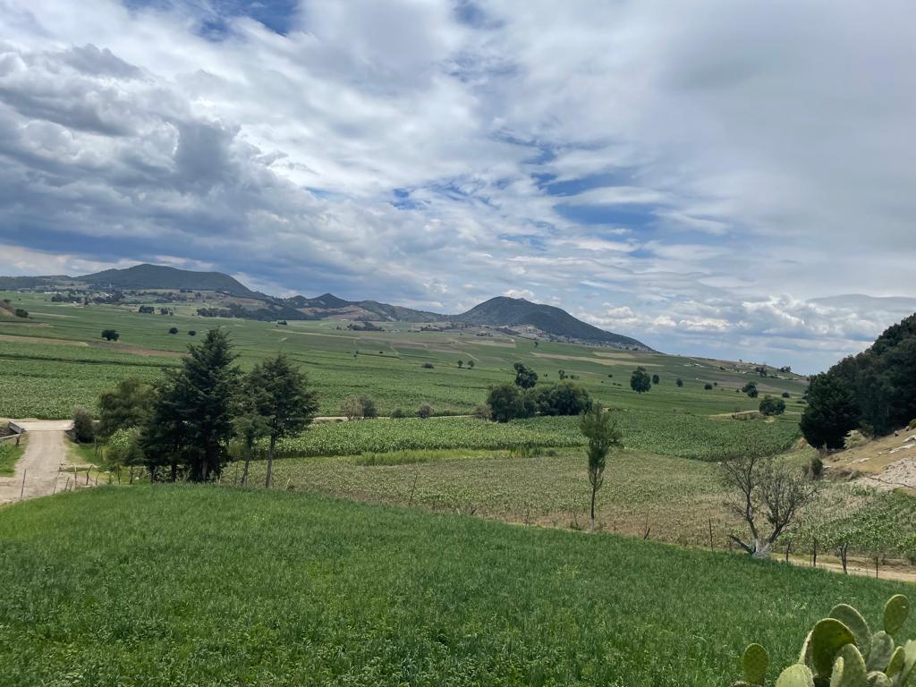 El Madroño es una comunidad pequeña pero con bellos paisajes
#Jiquipilco #ElMadroño #Paisaje