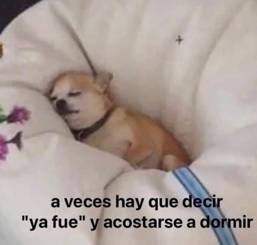 _onerolita's tweet image. tal cual