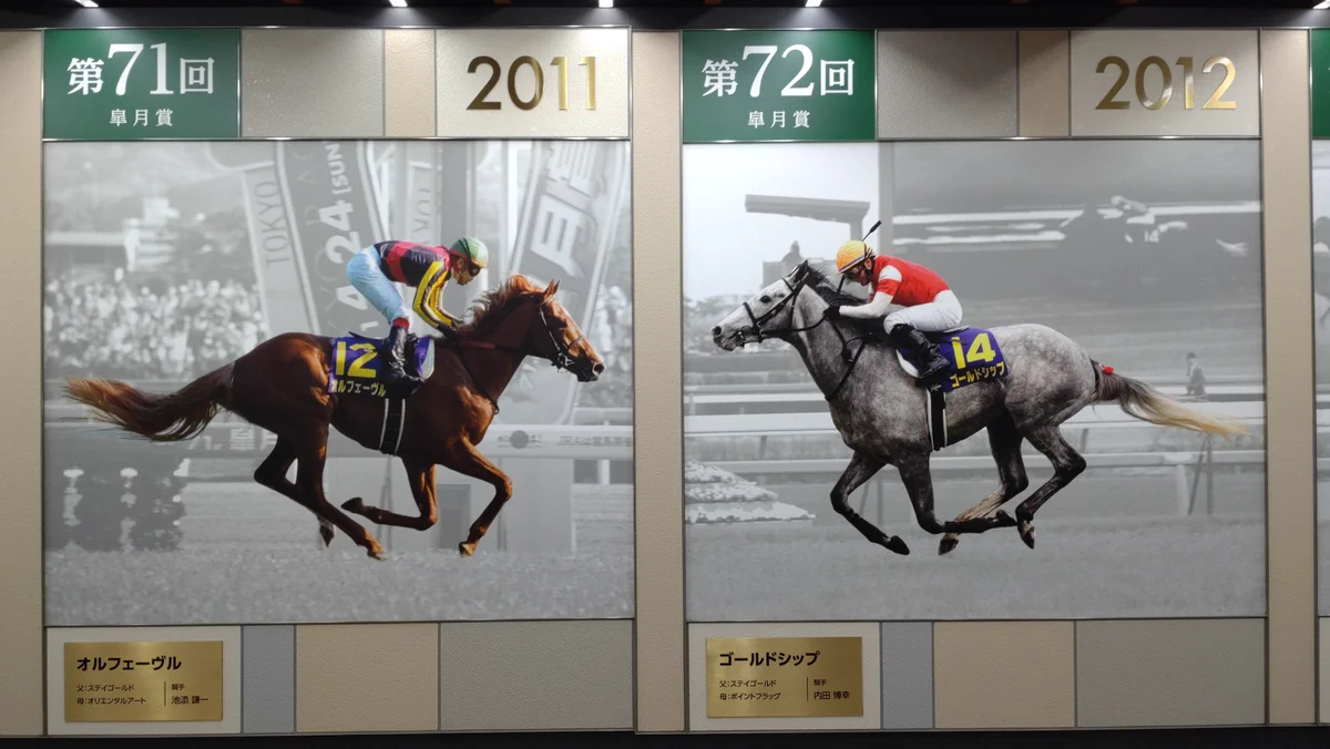 ゴールドシップ 黄金の帆を揚げてステイゴールド、オルフェーブル、2014中央競馬 ファルっち🎀 on X: 