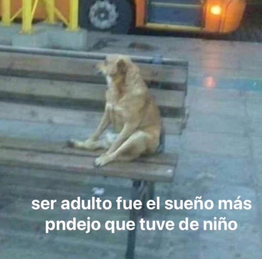 _onerolita's tweet photo. mañana lunes hay q laburar q bronca loco https://t.co/3NydOmABVt