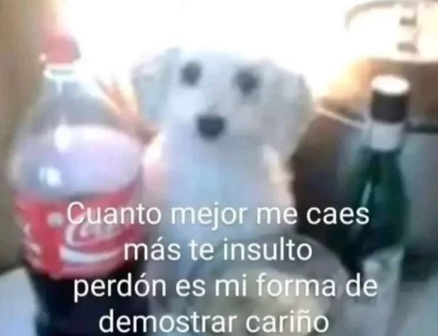 si soy