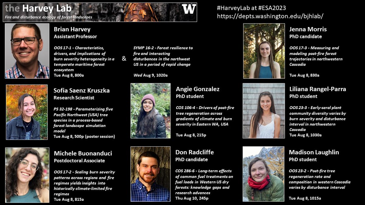 Attending #ESA2023 @ESA_org this week? Interested in forests 🌲, wildfires 🔥, & understanding/managing for resilience in a warm and 🔥-prone future? Check out talks +posters from members of the #HarveyLab @UW_SEFS for some of our research on these topics in the Northwest US!