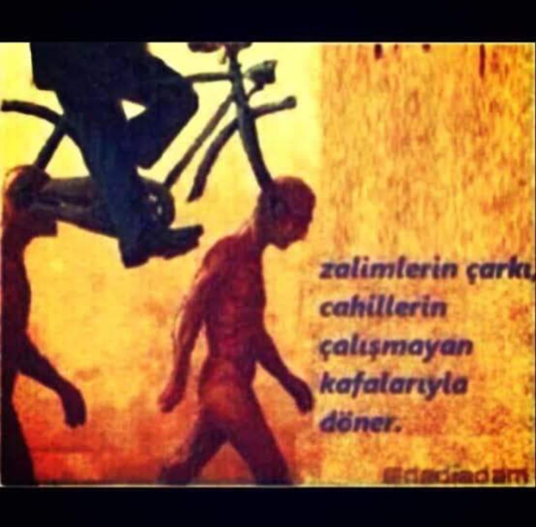 Lion27020's tweet photo. @mimozdemiryemre @cgfuzuli https://t.co/X5ySa4mrnO