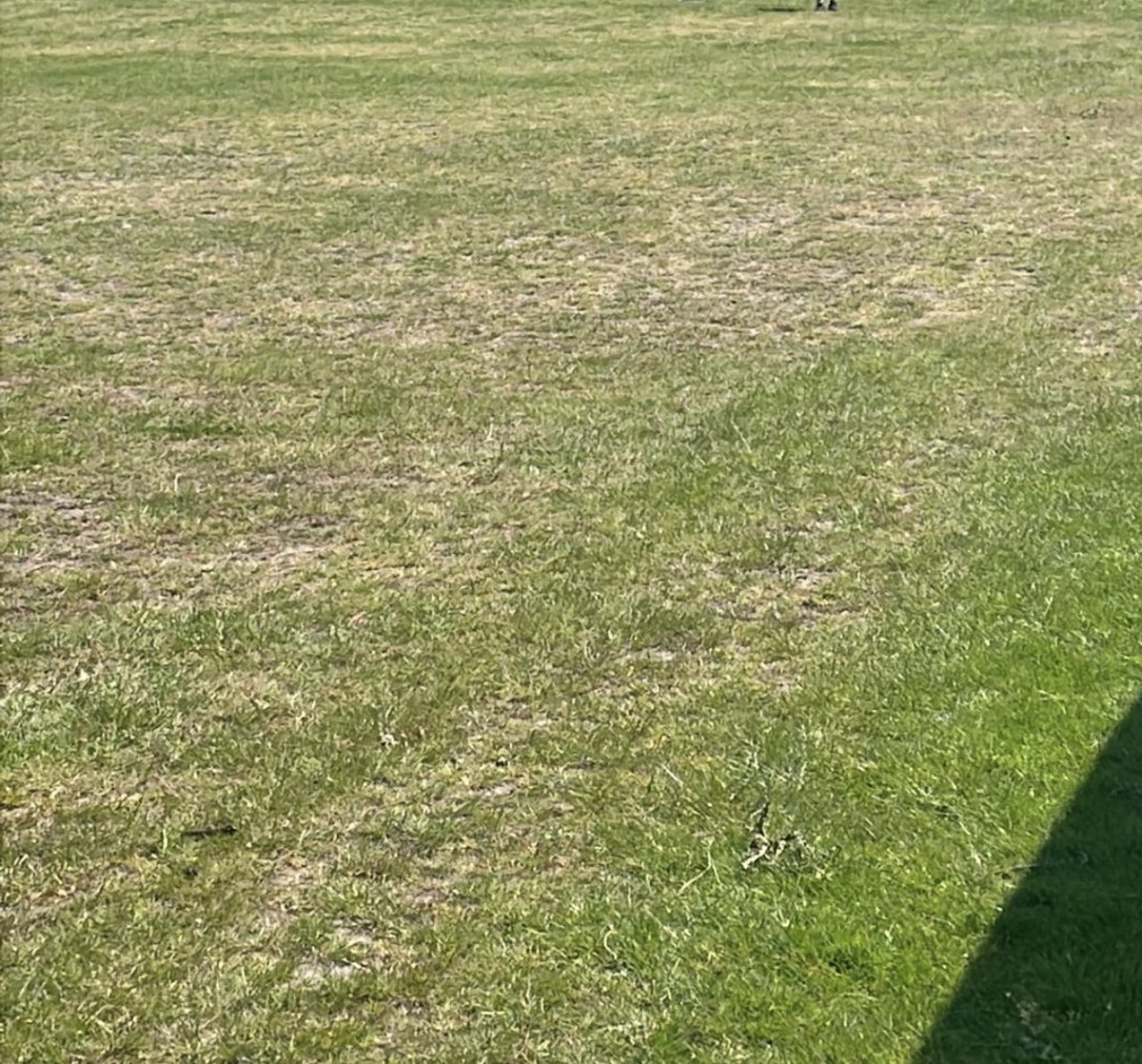 🟠⚫️ BEFORE BEN ⚫️🟠