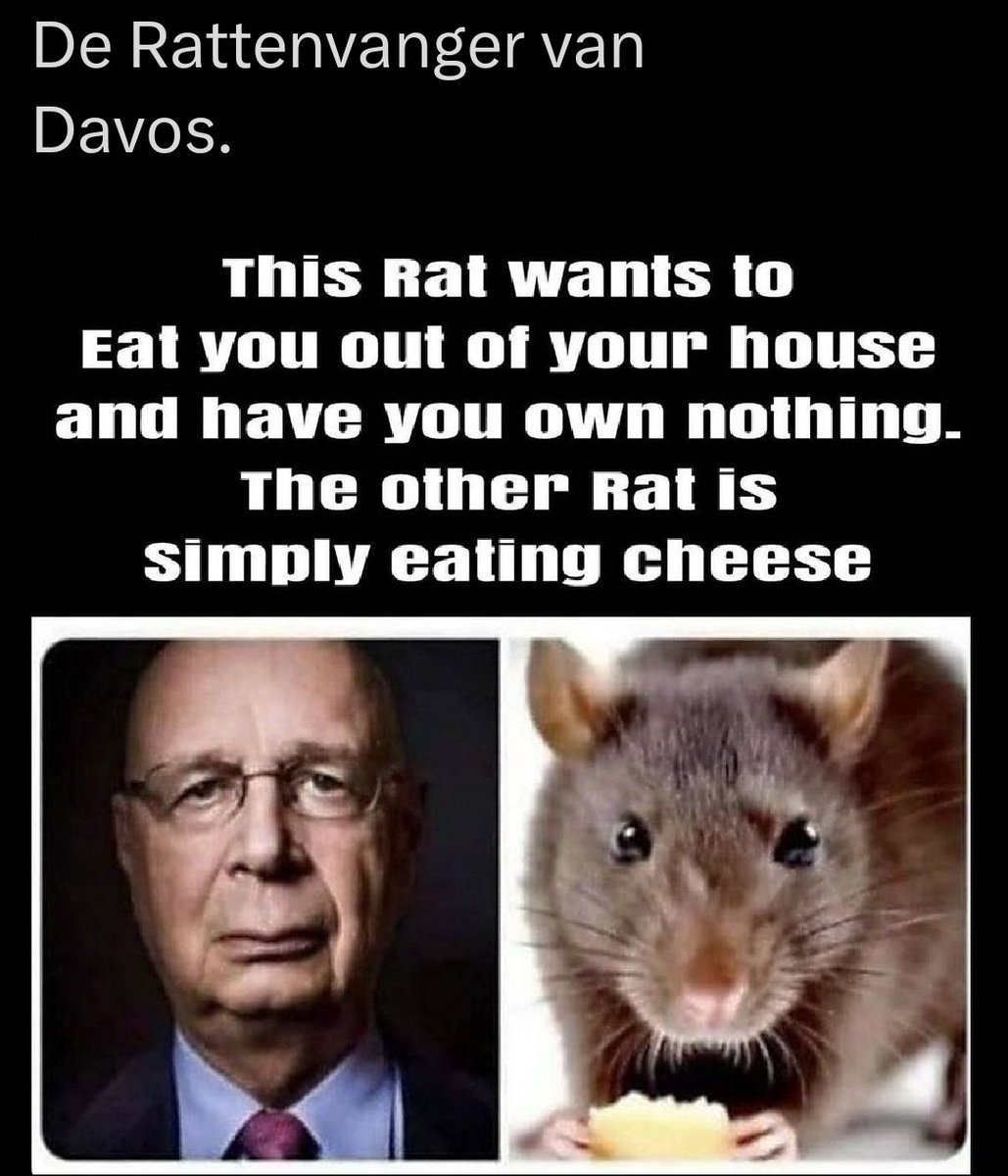 SAzijnman's tweet image. 