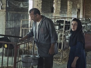 AAmahiAA's tweet photo. فیلم #هفت و نیم
فیلم پر بازیگری اثر برادران محمودی
که هر ۱۰ دقه آن داستان دختری است که اخر هفته عروسی دارد ولی در حال حاضر مشکلاتی از قبیل پرده #بکارت ، ترنس بودن،تجاوز در بچگی،اصرار مادرشوهر برای بردن دکتر و. دارند.میشه گفت #فیلم دغدغه زنان و دختران ایران و افغانستان https://t.co/uX0DgyOdoL