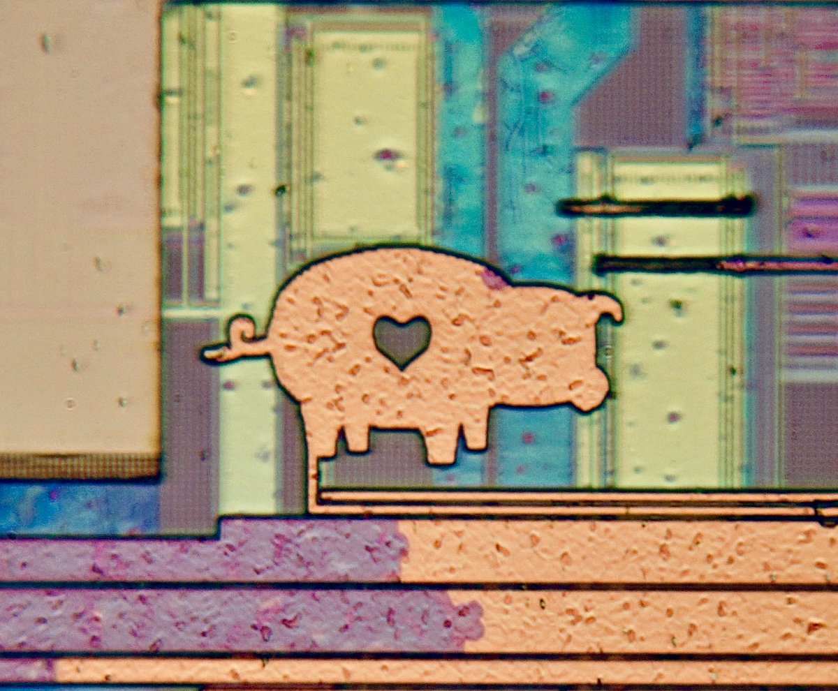 microscopicture's tweet image. silicon doodle on a microchip magnified 400x