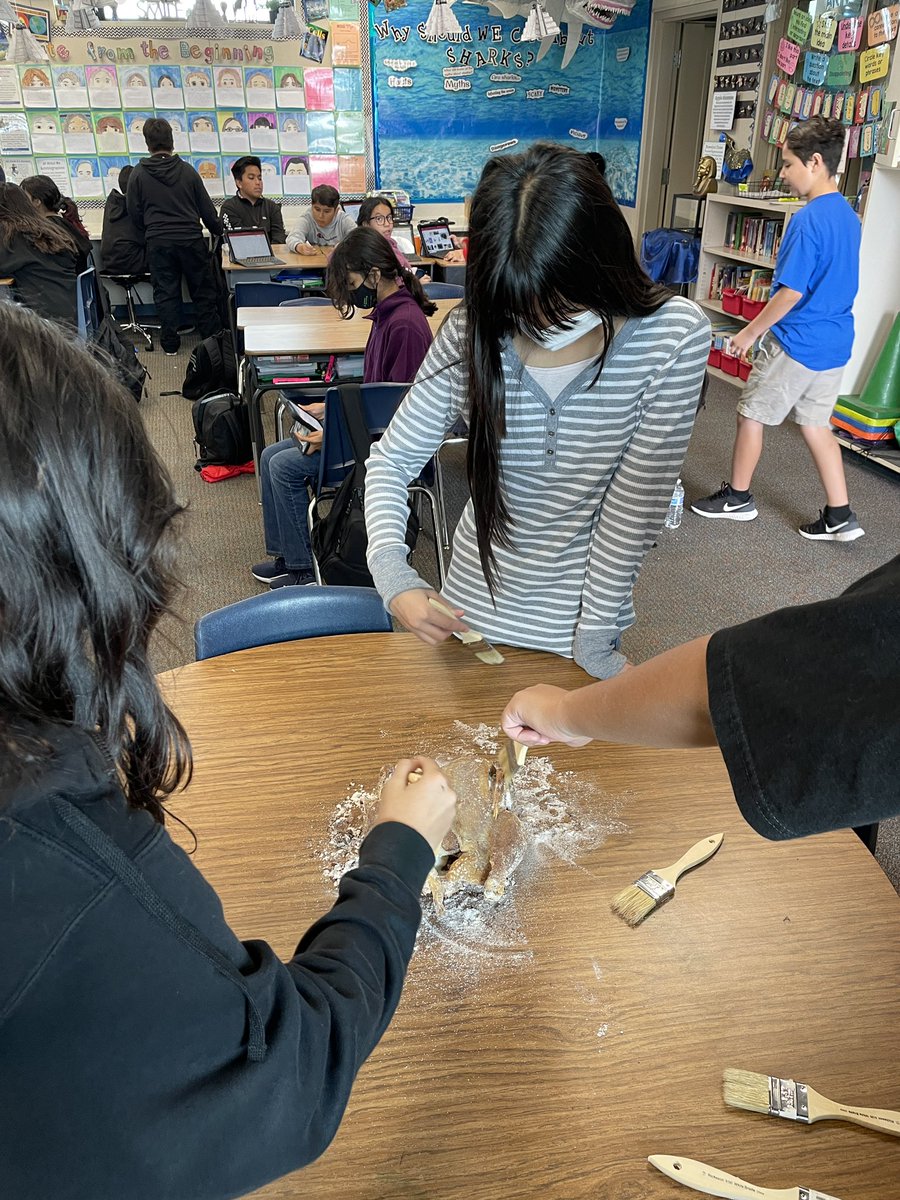 ShiloeErickson's tweet photo. @PearDeck Social Studies… specifically ancient Egypt! Mummifying a chicken never gets old!! https://t.co/CKbMv7pjcn
