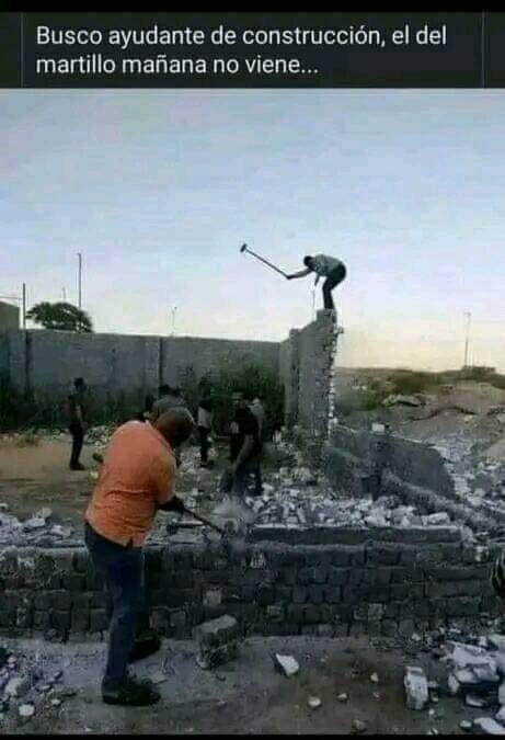 sofysRM's tweet photo. Busco ayudante de construcción, el del martillo, mañana no viene 😁 https://t.co/G97z7sR277