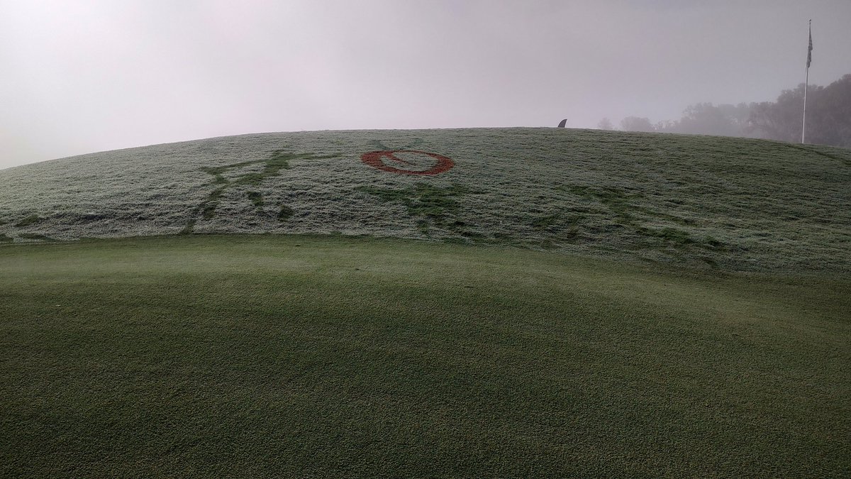 Daniel L Barnes tweet media