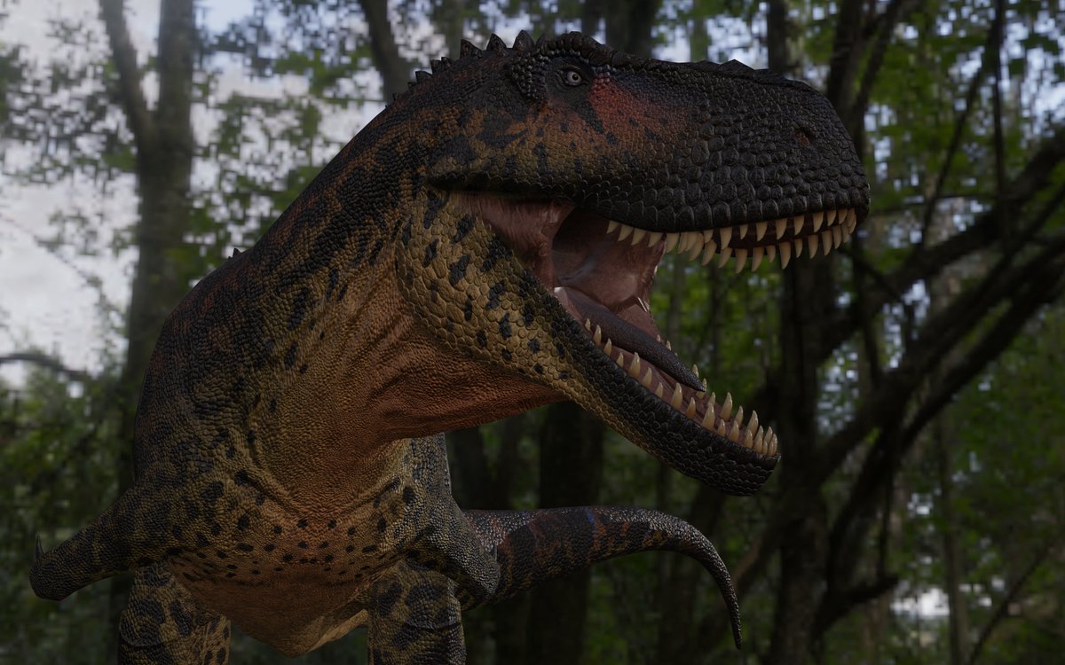 F24bTanWwAA5mjs.jpg?format=jpg