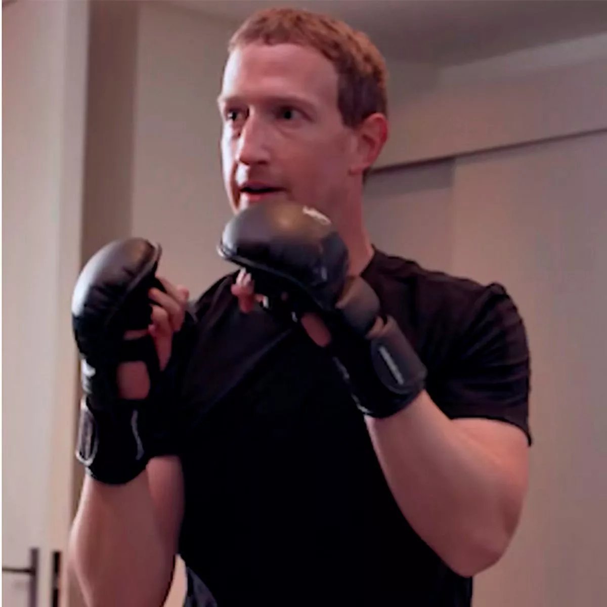 CultureCrave's tweet image. Mark Zuckerberg says he's ready to fight right now but he hasn't heard back from Elon Musk 

"Not holding my breath"