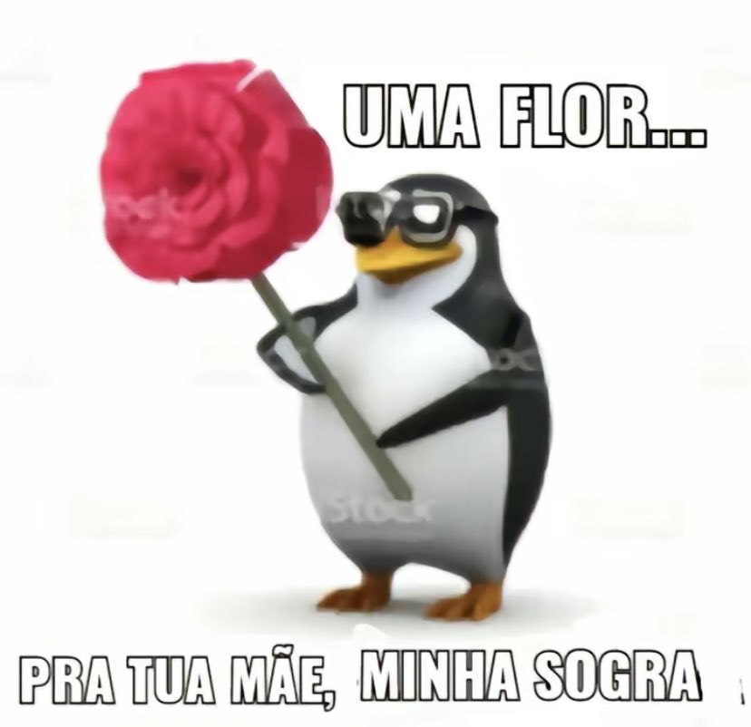 P*rra de cv mlq tu mora em apartamento carlho tweet media