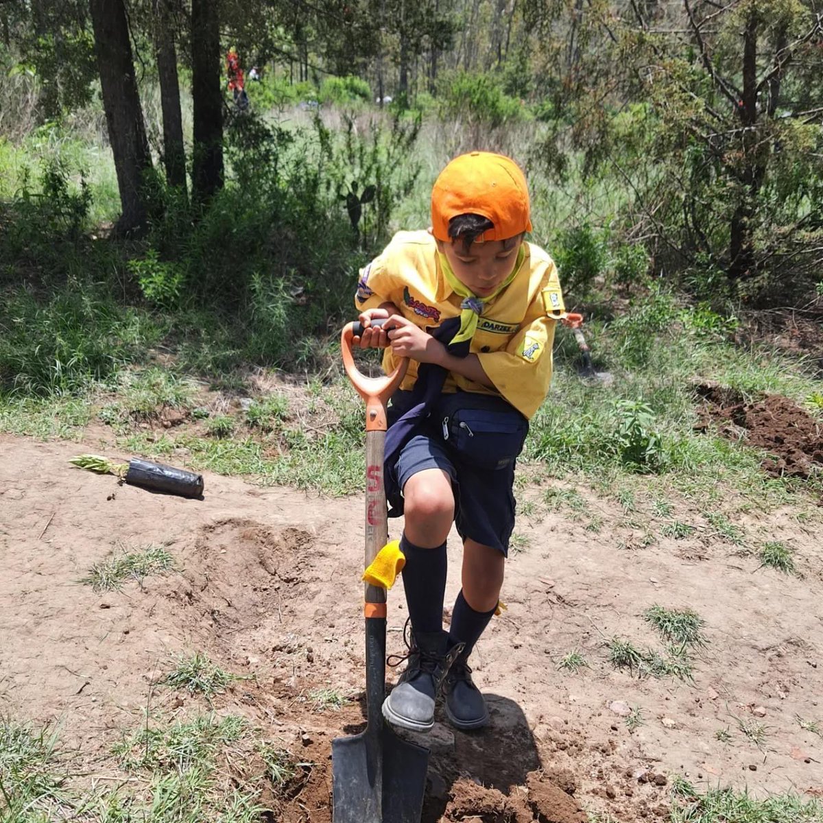 CoyoacanScouts's tweet photo. Por un mundo más bonito 🤩
Reforestacion de la sierra de Guadalupe, Edo. De México
@provincia_coyoacan
@una_mas_de_scouts
#scoutsmexico
#scoutsconorgullo
#scoutscoyoacan
#grupo336
#scouts336
#porunmundomejor
#simiplaneta https://t.co/YS17XhQwoA