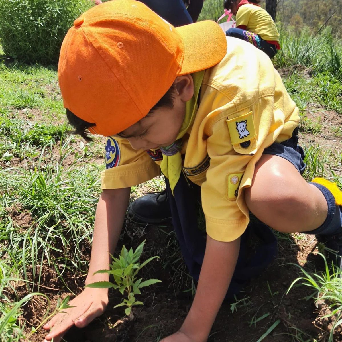 CoyoacanScouts's tweet photo. Por un mundo más bonito 🤩
Reforestacion de la sierra de Guadalupe, Edo. De México
@provincia_coyoacan
@una_mas_de_scouts
#scoutsmexico
#scoutsconorgullo
#scoutscoyoacan
#grupo336
#scouts336
#porunmundomejor
#simiplaneta https://t.co/YS17XhQwoA