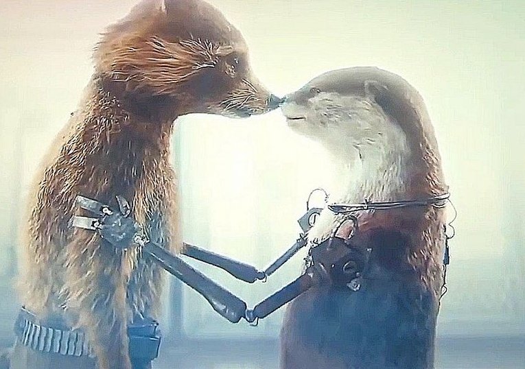 rafanotso's tweet photo. "Mi querido mapache, toda esta historia fue tuya desde el principio, solo que no lo sabías."

Háganse un favor y vean Guardianes de la Galaxia vol 3 😭😭😭 https://t.co/76MyLSnF39