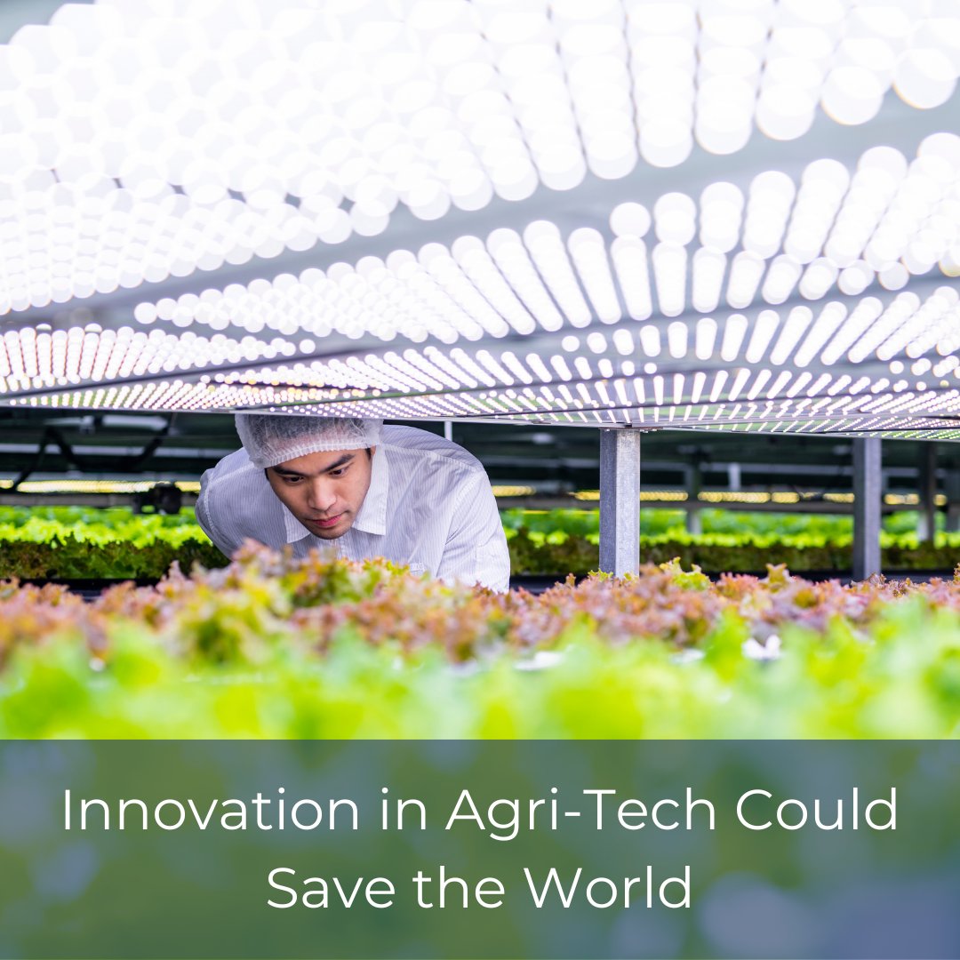 How can Agri-Tech save the world?

Robotics – These include fruit picking, sheep shearing and even driverless tractors/

Find out more ways innovation in Agri-Tech could save the world > nexus-ie.co.uk/inagri-tech-co…

#agritech #innovation #ukmfg