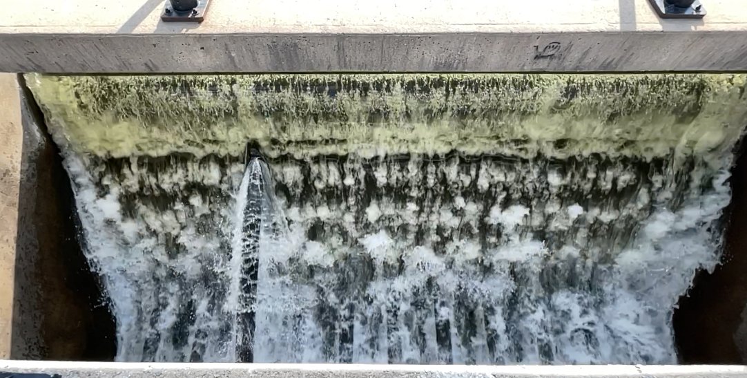 Michael Johnson tweet media