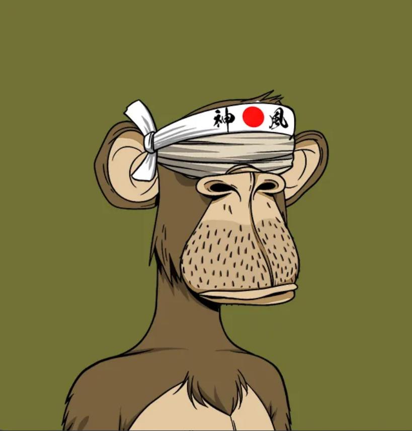 There’s only one Bored Ape Yacht Club