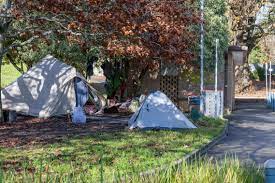 homeless_ngo's tweet photo. Homelessness Week sheds light on hardship, Shelter Tas CEO says >> https://t.co/LZtWkt7BRp - Homelessness Week is underway, aiming to raise awareness of the challenges faced by people experiencing homelessness. #taspol #HW2023 #HomelessnessWeek2023 #Tasmania https://t.co/Y5CkaJK0yH