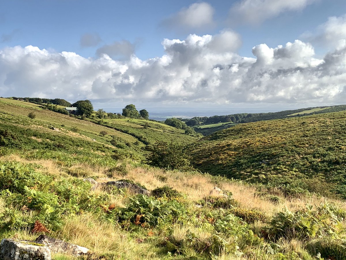 mattwillson75's tweet photo. Nice early morning walk on Dartmoor near Okehampton. Plenty of birds, 20+ Wheatear, Peregrine, Buzzard, Stonechat, Goldfinch, Meadow Pipit and beautiful views @dartmoornpa @DevonBirds https://t.co/Dtfiez4tyF