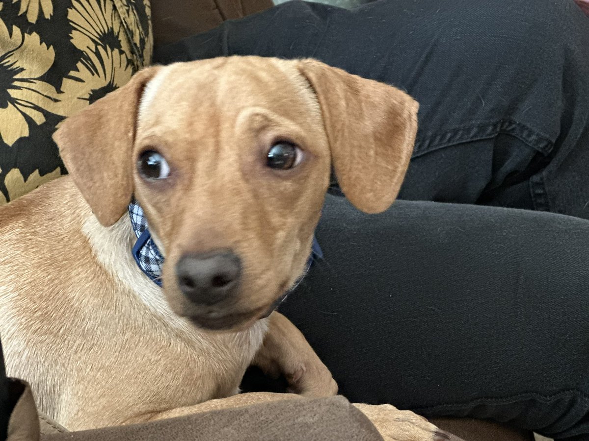 The Amyrlin Seat tweet media