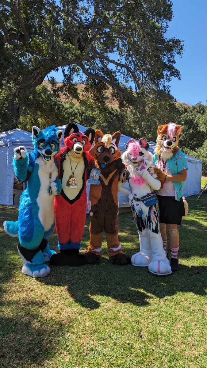 Summer_Rine_21's tweet photo. Minus the bees and heat, I had an absolutely wonderful and fun time hanging out at the SoCal FurBQ! https://t.co/DToZRaJxLm
