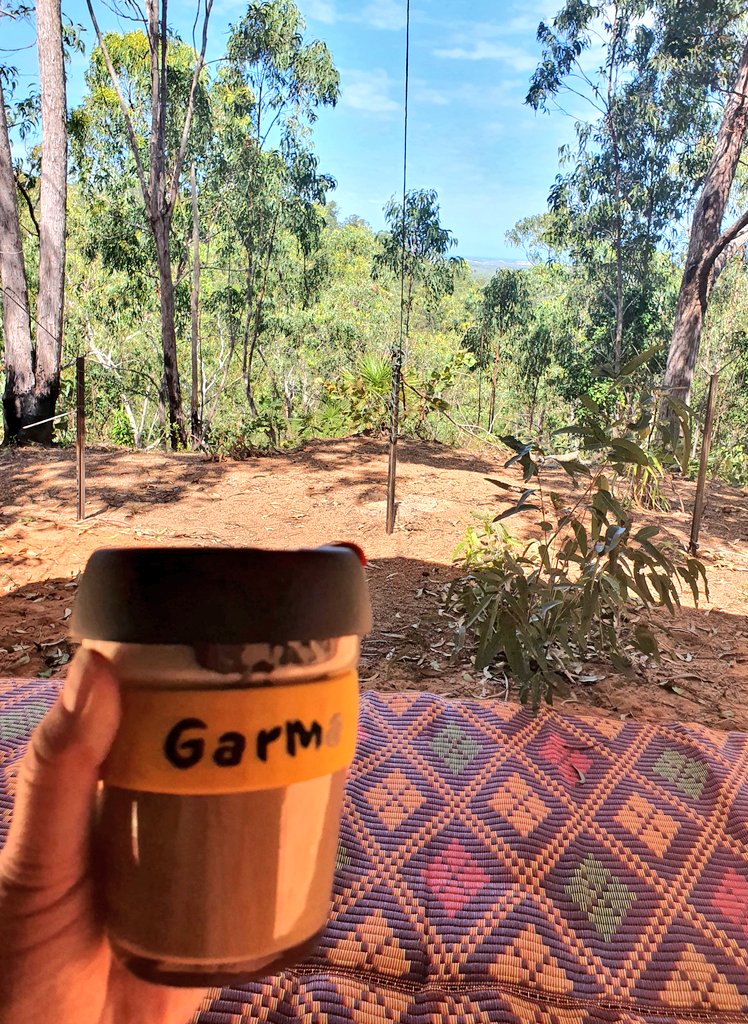VickiTreadell's tweet photo. #goodmorning from #Gulkula!
My last #coffee looking out at the scene that has been my view for the last 4 mornings at the #Garma2023 Festival.
I will post over the next day about what I experienced & share photos.
Much to reflect on. https://t.co/xDak1fAMKk