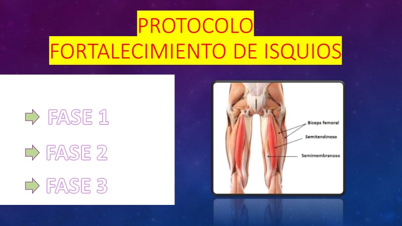 ⚠️PROTOCOLOS DE FORTALECÍMIENTOS 
✅NUEVA ENTREGA‼️
📊 De acuerdo a mapas lesivos del deporte podremos prevenir con planes de trabajos. 
⛑️PRE-SESIÓN- 15/20min de duración. 
📈Cuádriceps - isquio - tobillo - AD - AB
🔁 RT para difundir.
📥 interesado ▶️ mail .
GRACIAS 🙏🙌