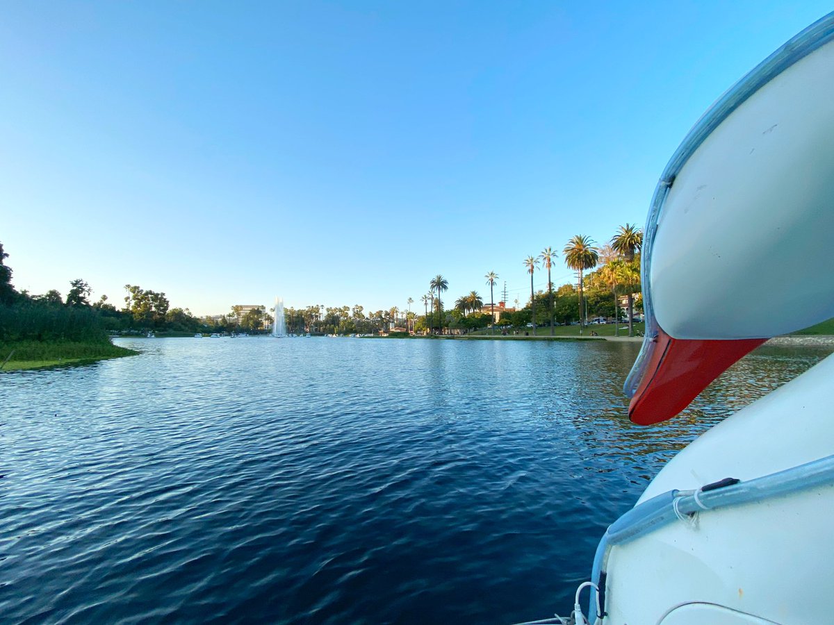 Dani Dodge tweet media