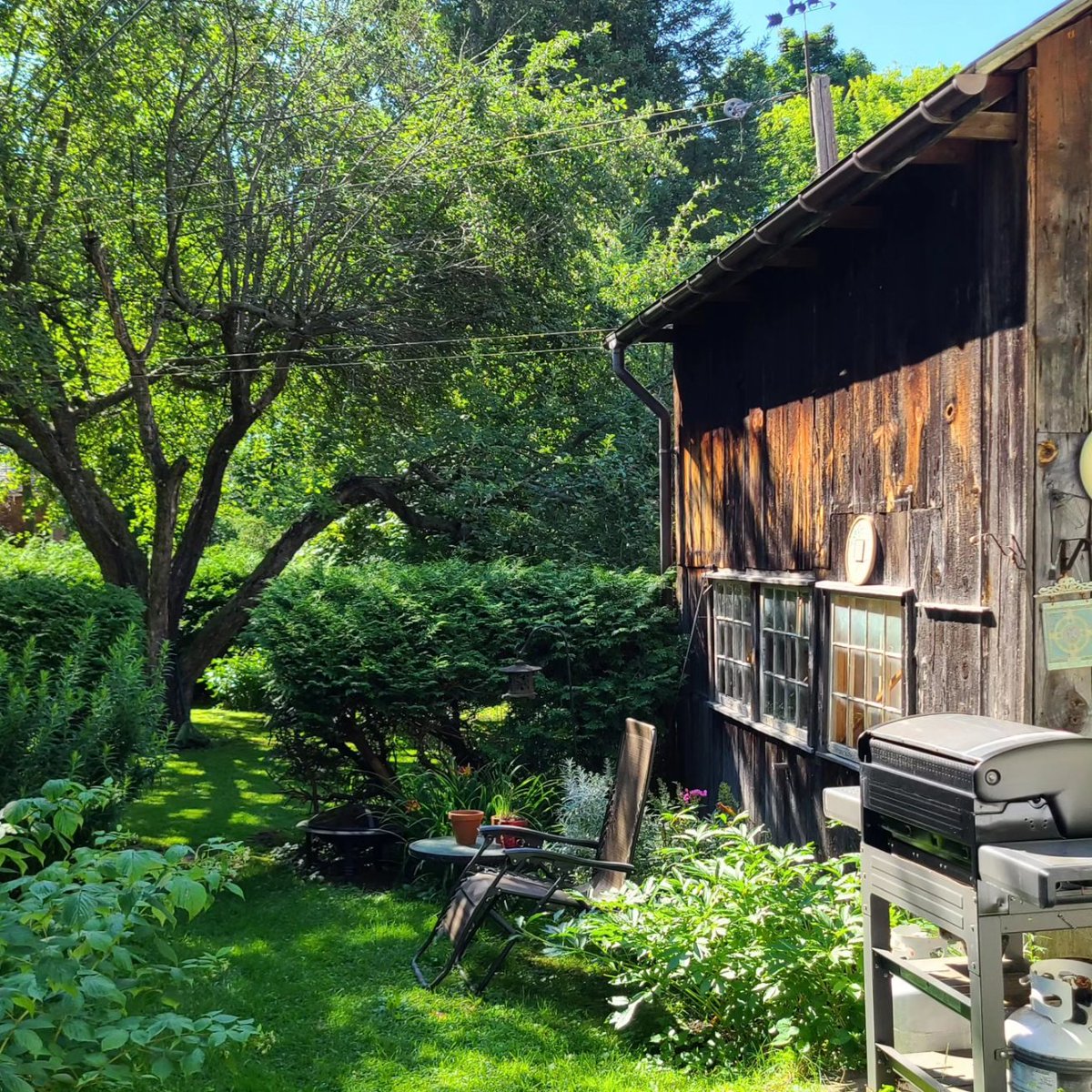 In lieu of a #dailysunset, here's a #dailymidmorningsun pic instead (whatever). I always love the way the morning sun lights up the workshop. (No "work" happens there, btw.)
#gooutside #breathe #bekind