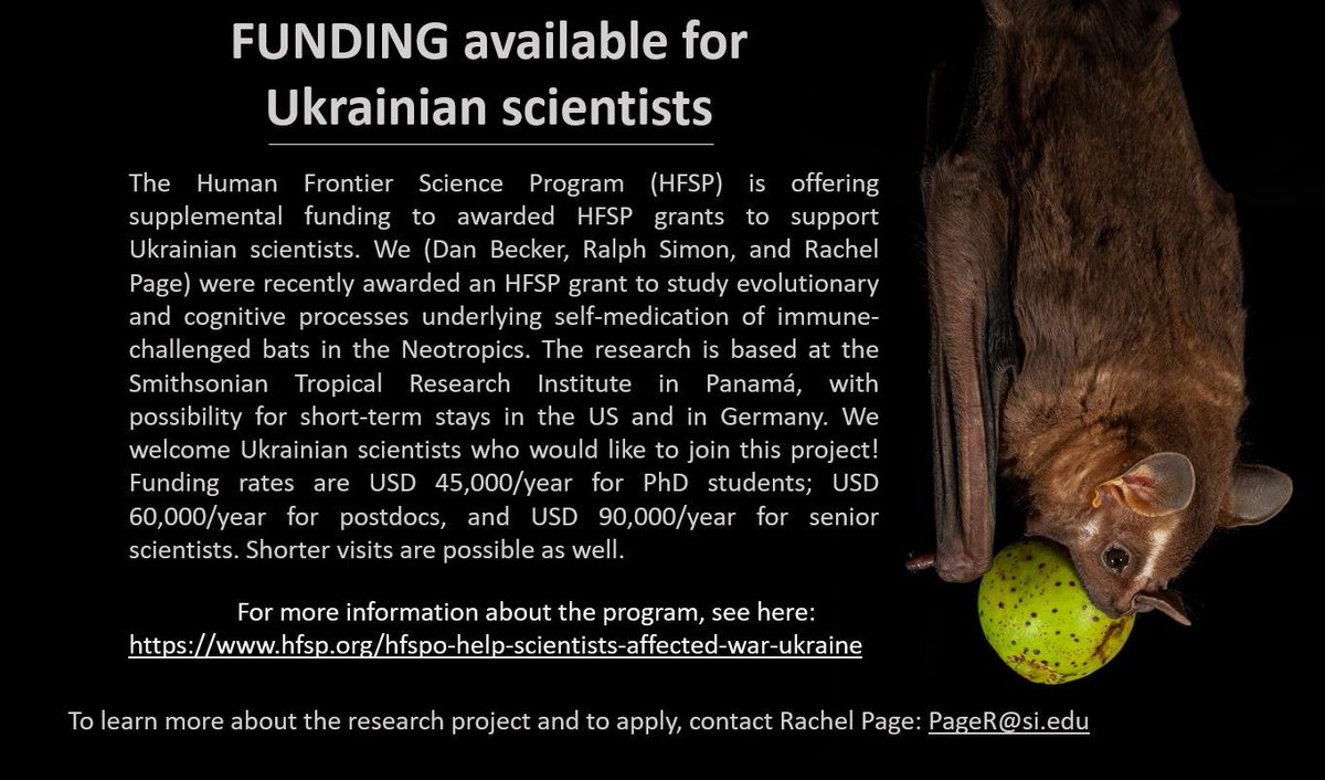 Jay 钻升 Falk tweet media