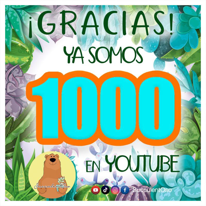 Muchas gracias a todos por tanto apoyo 🙌🏻