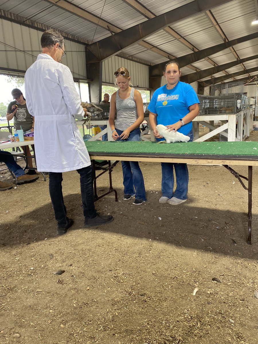 HeartlandFFA's tweet photo. York County Fair is in the books! It was fun to see all the projects and watch the members show! @hcsdogpound https://t.co/2hufewwQDi