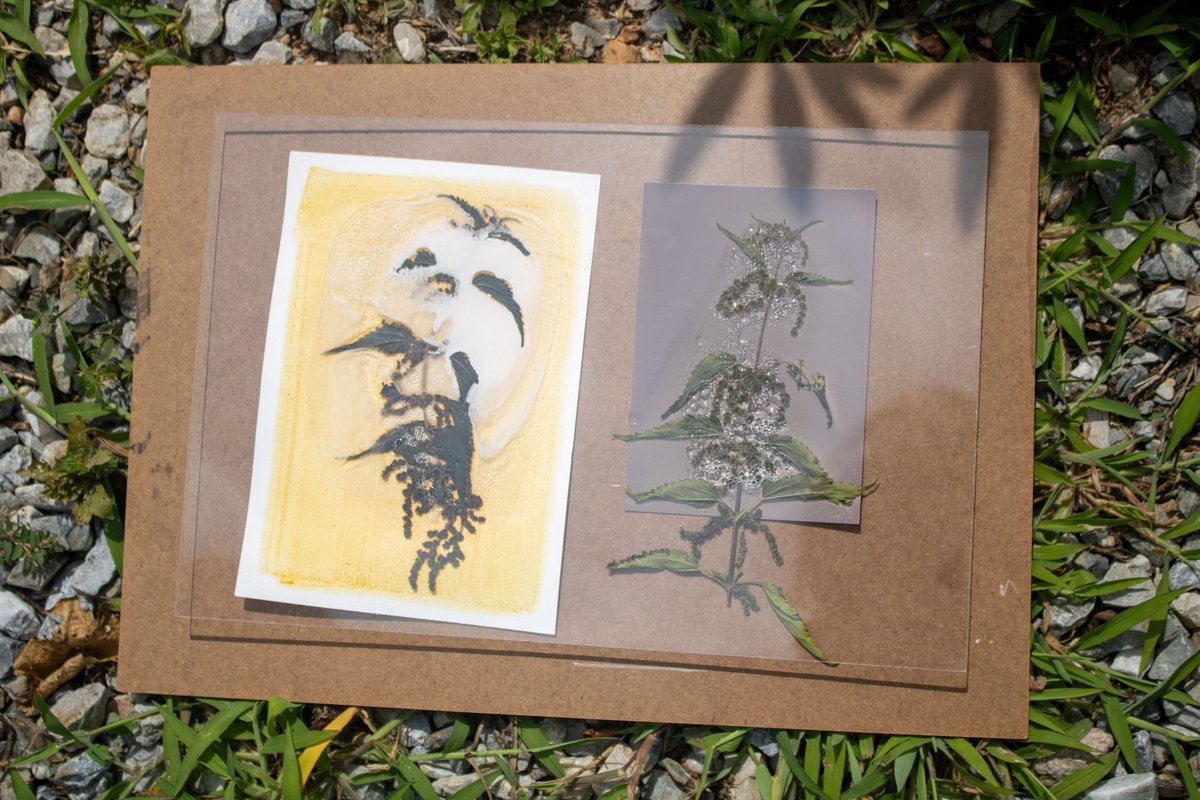 Kate Heuston tweet media