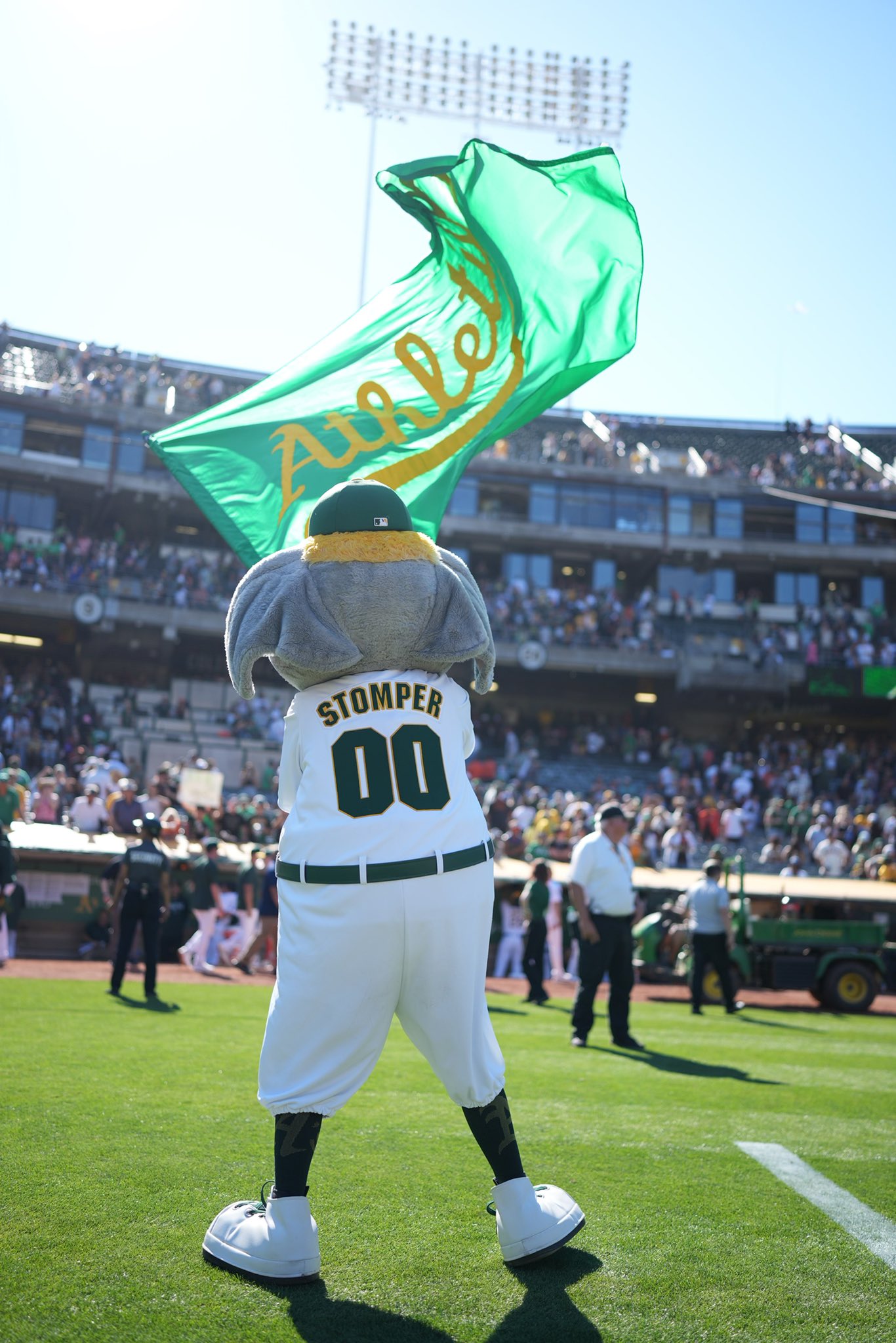A's lose their mascot Stomper at the zoo 