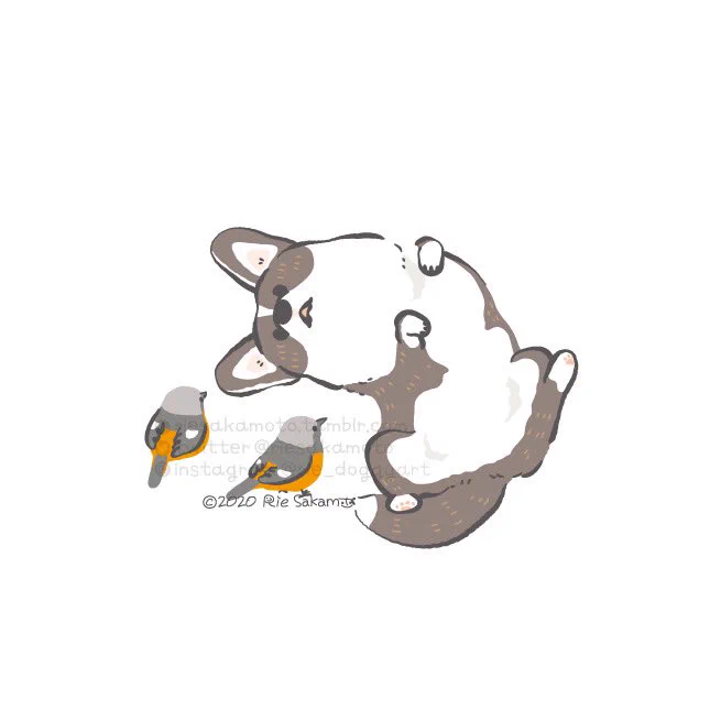 #作品をXで見せ合おう コーギーと野鳥たちを描いてます