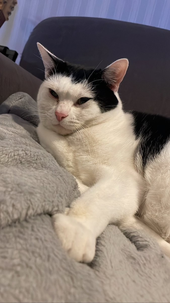 LordsOfGoblinT's tweet photo. GM Goblins 👹
From us and Goku 🐈⬛
#gm #logt #uos https://t.co/7DNw3zJ26E