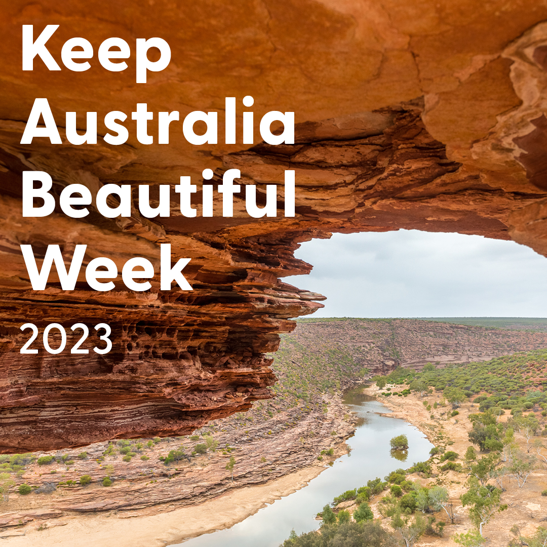 Utilitarian.World tweet media