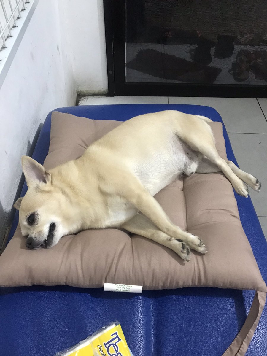 Sepanjang perjalanan rumah-klinik nangis sambil nyetir, di tengah perjalanan dianya udh pergi duluan🥺😢😭🥀