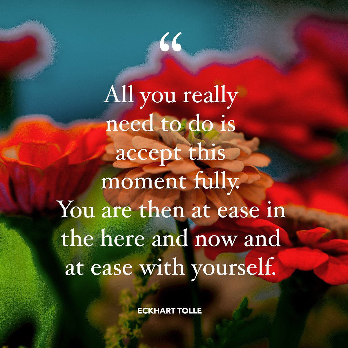 ENoetic's tweet photo. #eckharttolle https://t.co/Hn8nGD5yAQ
