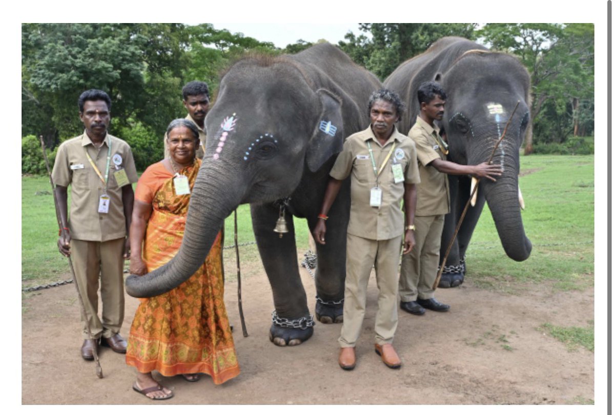 #ElephantWhisperers #BommanBellie send legal notice to #KartikiGonsalves asking for Rs 2 cr as 'goodwill gesture'. Legal notice stated that the couple were promised a proper house and an all-terrain multi-purpose vehicle and sufficient financial support as a one-time lump sum