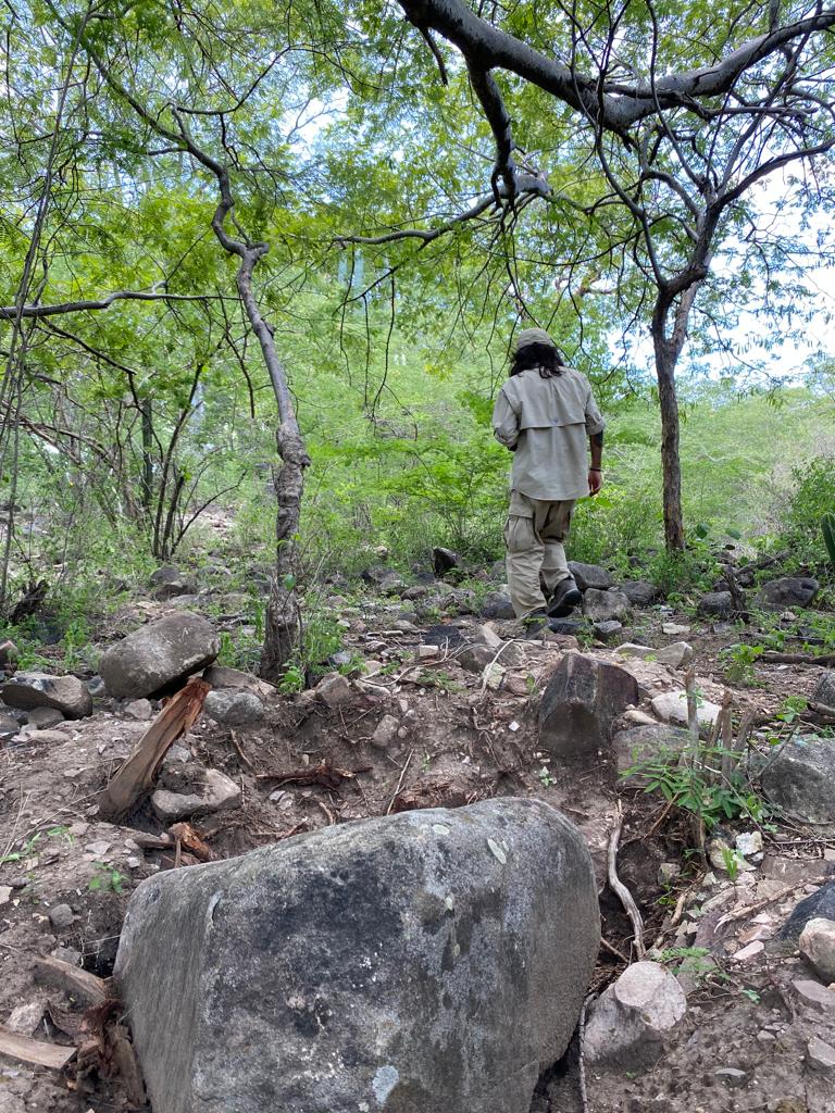 HagiosFranco's tweet photo. Tres lugares en tres semanas 👣, Jalisco pa conocer, Mixteca pa trabajo de campo y Oaxaca pa ver lo del posgrado, y salgo con la misma pinche camisa. https://t.co/5kyaTfffkf