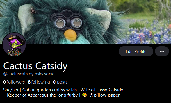 CactusCatsidy's tweet photo. I made it in, hope I find y'all on the other side https://t.co/EaK43rTfuI