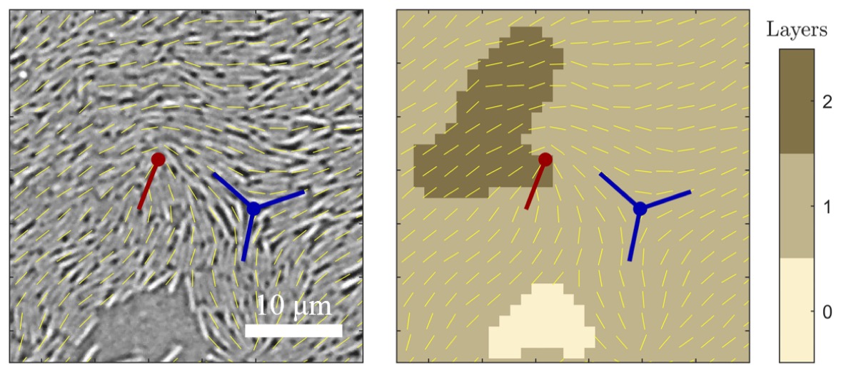 Ricard Alert Zenón tweet media