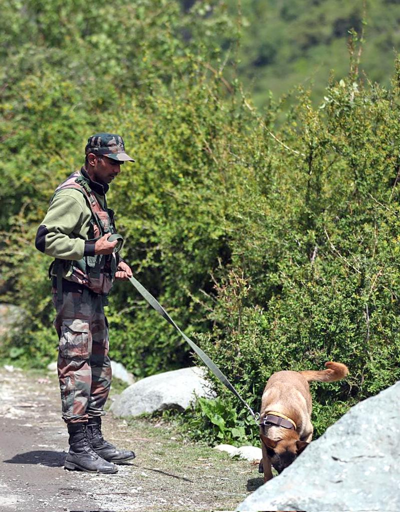 RisingKashmir's tweet photo. #Rajouriencounter: #Searchop continues to #trackdown holed up #terrorists: #Army
Reports Arvind Sharma
@adgpi @JmuKmrPolice
@RAJOURIPOLICE. @digrprange
@igpjmu
https://t.co/jRTDKUoyAI https://t.co/gmRG1gq6uo