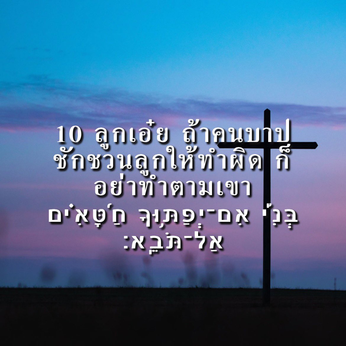 PopePiusXIIISH's tweet photo. https://t.co/dC9xpBVpY8