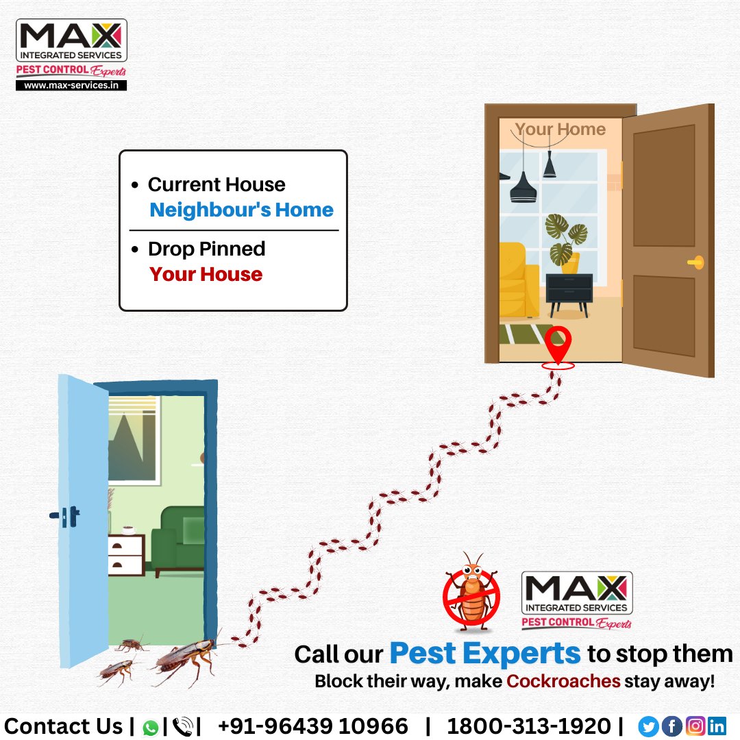 IntegratedMax's tweet photo. 🏡 Neighbor's Cockroaches making their way to your place?
📞9643910966
🌏https://t.co/K5b7JVqmhP
#MIS #Pestfree #CockroachesControl #PeskyInsects #Insects #ProtectYourHome #Crawling #MosquitoesControl #Bedbugs #TermiteTreatment #Woodborer #Fumigation #Sanitization #HealthyLiving https://t.co/et9v9Oi7cn